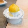 Citrus Juicer - 250ºc