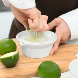 Citrus Juicer - 250ºc