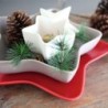 XL Branch of Pinetree with Cone - Deko