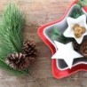 XL Branch of Pinetree with Cone - Deko