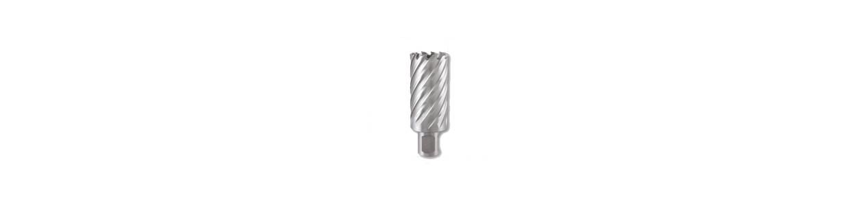 Broca craneana cone-morse