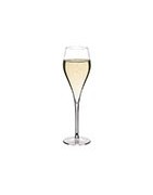Champagne Glasses