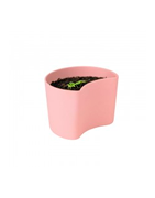 Vasos