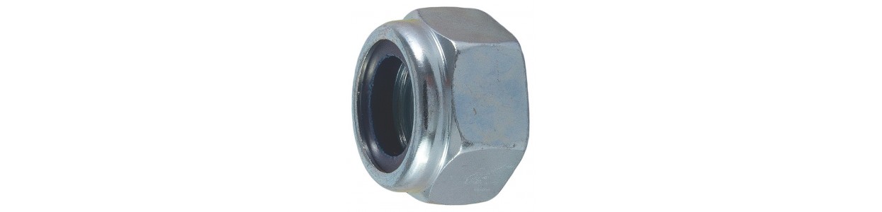 DIN 981 Porca cilíndrica dentada