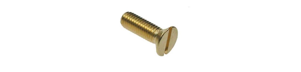 DIN 964 Parafuso Cabeça Lentilha FN