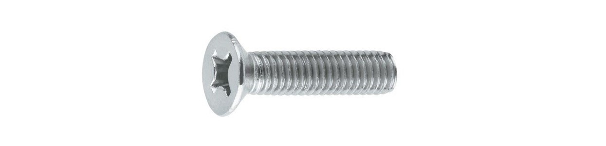 DIN 85 Parafuso Cabeça Queijo FN